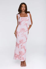Dear Me From Me Mesh Maxi Dress Pink