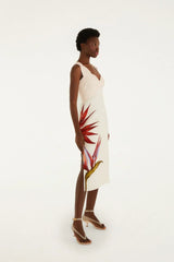 Sand Strelitzia Midi Dress
